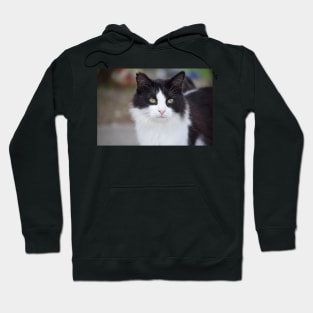 black and white cat Hoodie